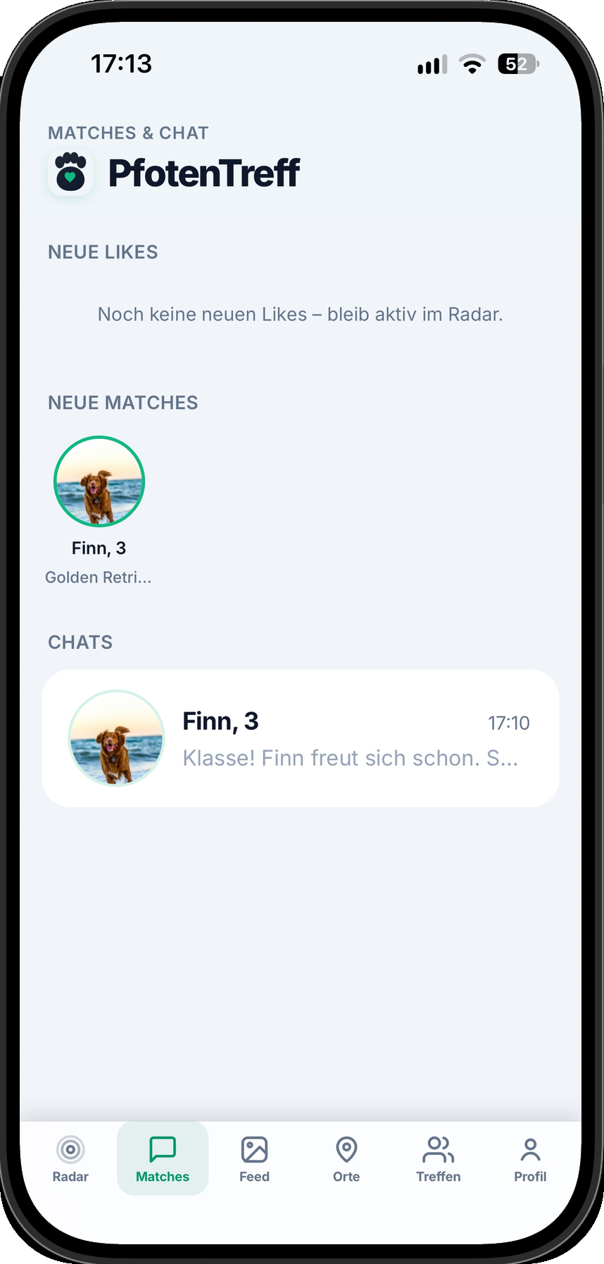 Matches: Finn, Golden Retriever, mit offenem Chat