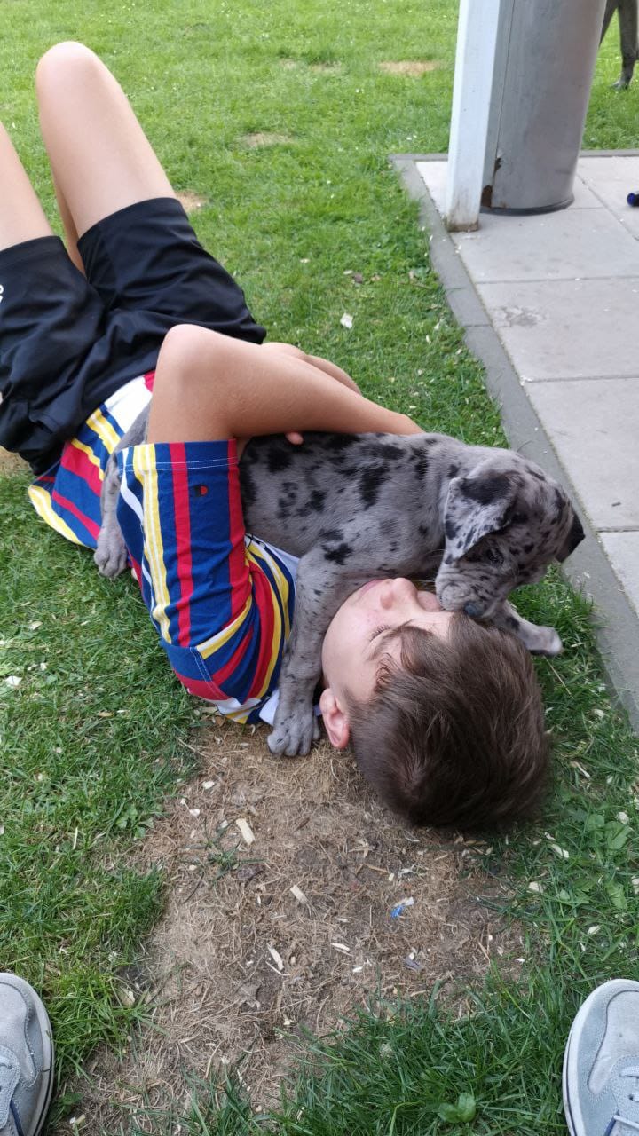Nico als Kind liegt im Gras, Baby-Dogge Oskar kuschelt auf seiner Brust